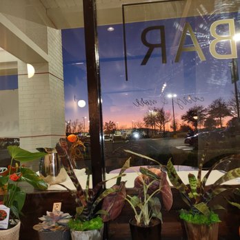 Karé Bar - Plants everywhere - Japanese Curry Near Me - Chantilly, Virginia