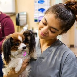 Pico Rivera Animal Hospital - We love animals!