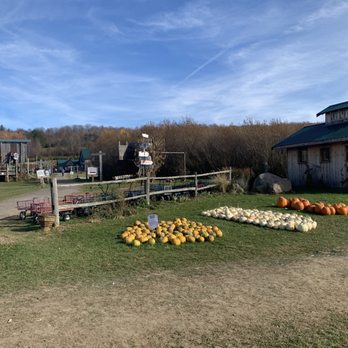 Springside Farm - Christmas Trees Near Me - Fabius, New York