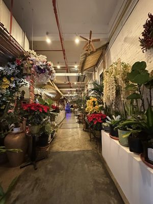 Lil Chef Mama by null