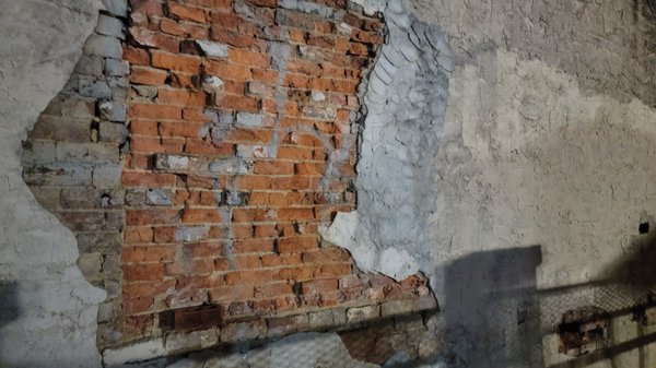 The Olive Downtown by null