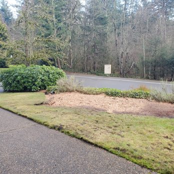 J & J Stump Grinding - Tree Services Near Me - Renton, Washington