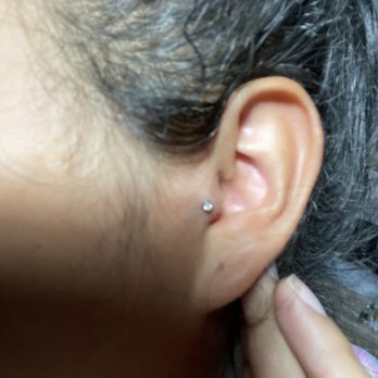 Queens of Needles - Tragus piercing that is healing a little longer than the other 2 - Tattoo Near Me - Northridge, California Queens of Needles - Tragus piercing that is healing a little longer than the other 2 - Tattoo Near Me - Northridge, California