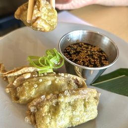 Vegetable Gyoza Vegetable Gyoza