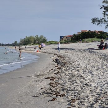 Turtle Beach - Beaches Near Me - Sarasota, Florida