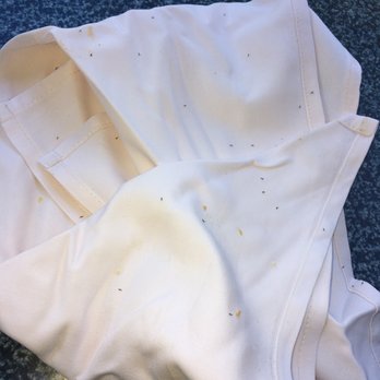 Cafe Orleans - A napkin that sat on the table while I ate which was unusable because of the obvious - Cajun/Creole Near Me - Anaheim, California Cafe Orleans - A napkin that sat on the table while I ate which was unusable because of the obvious - Cajun/Creole Near Me - Anaheim, California
