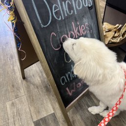 Sniff Sniff