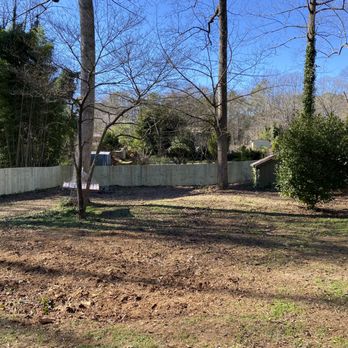 Lion Fence - Fences & Gates Near Me - Kennesaw, Georgia
