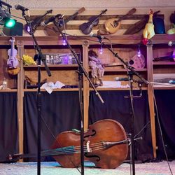 Purple Fiddle - Stage