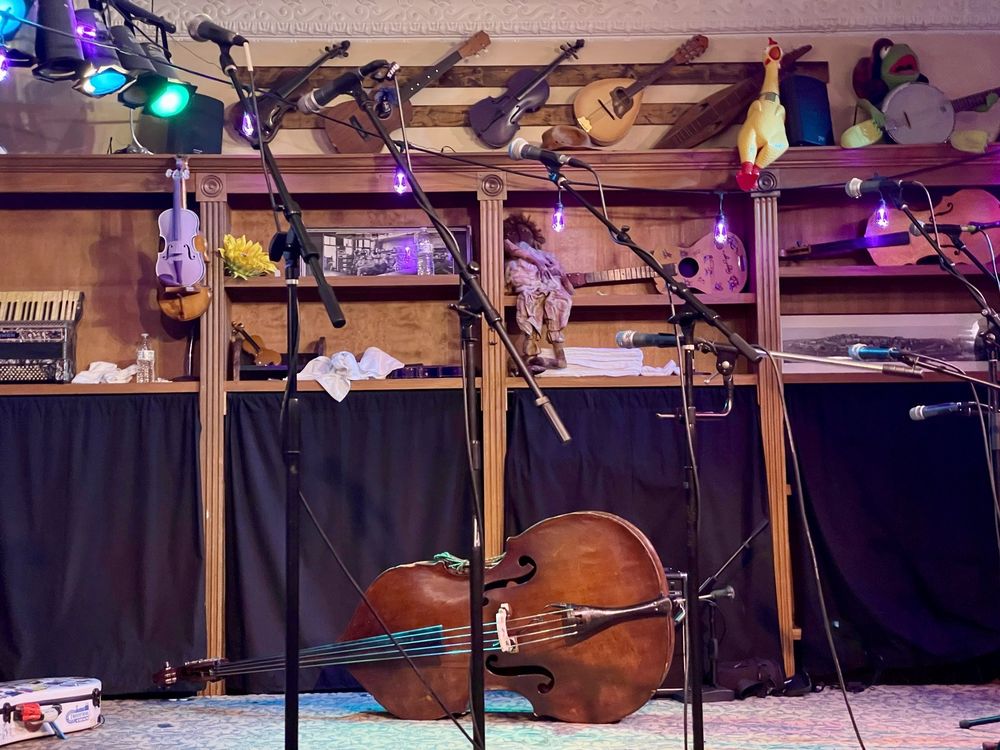 Purple Fiddle