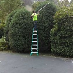 Tough Greens Lawn Care