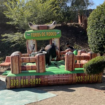 Dos Amigos Bulls - The bull we rented for our birthday party - Party Equipment Rentals Near Me Dos Amigos Bulls - The bull we rented for our birthday party - Party Equipment Rentals Near Me