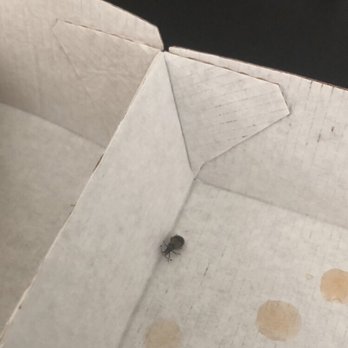 Chick-fil-A - Bug in the food - Fast Food Near Me - Vallejo, California Chick-fil-A - Bug in the food - Fast Food Near Me - Vallejo, California