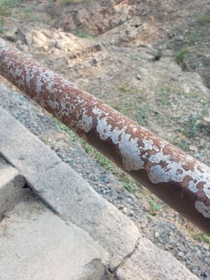 Holiday Harbor - Shasta Lake House Boat Rentals & Marina by null