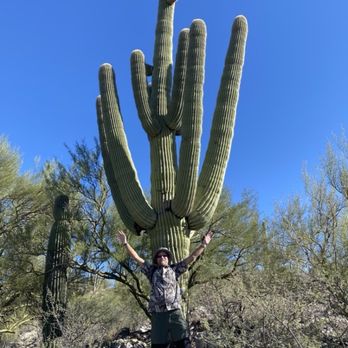 WorldMark Rancho Vistoso - Saguaro cactus, Dec, 2025. - Hotels Near Me - Oro Valley, Arizona