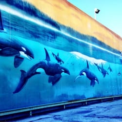 Indianapolis Public Schools - Wyland mural on the back of the building. So cool!