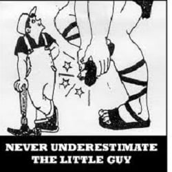 The Little Guy Law Firm - The Little Guy Law Firm
