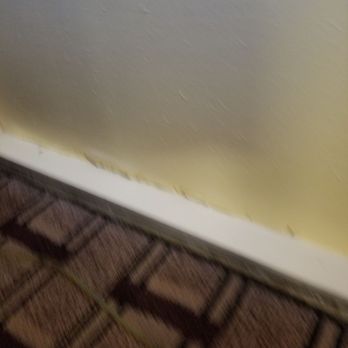 Days Inn by Wyndham Dickson - Mold - Hotels Near Me - Dickson, Tennessee Days Inn by Wyndham Dickson - Mold - Hotels Near Me - Dickson, Tennessee