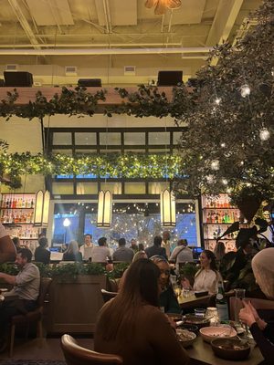 Aba Nashville by null