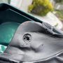 Xpress Auto Body - Paint & Fleet