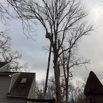 J & W Experienced Tree Services - Tree Services Near Me