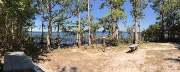 The Nature Conservancy's Disney Wilderness Preserve by null