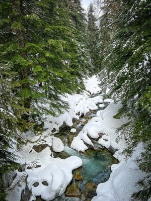 Franklin Falls Trailhead by null