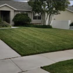 Everyday Lawn Solutions - Another happy customer