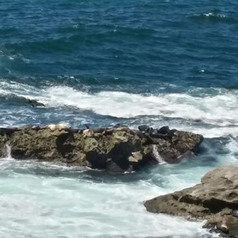 La Jolla Cove - Parks Near Me - La Jolla, California