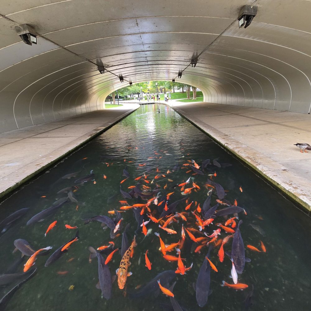 Big Spring Park - Parks Near Me - Huntsville, Alabama Big Spring Park - Parks Near Me - Huntsville, Alabama