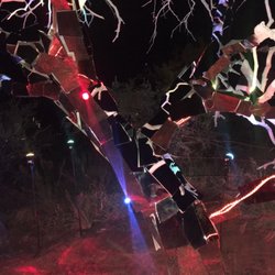 GLOW! - Beautiful "glowing tree!"