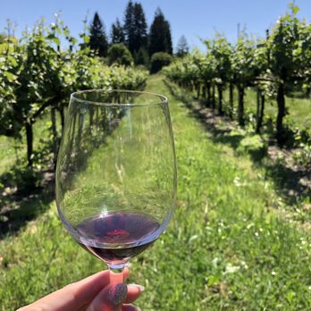 Husch Vineyards - Gorgeous grounds! - Wineries Near Me - Philo, California