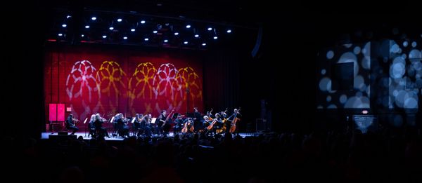 Orlando Philharmonic Orchestra by null