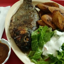 Tilapia
