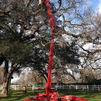 Greene Tree Care - untitled - Tree Services Near Me - Camarillo, California