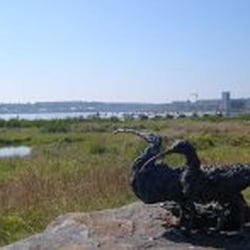 Cardiff Bay Wetlands Reserve - Photo taken from Cardiff Council's website: http://www.cardiff.gov.uk