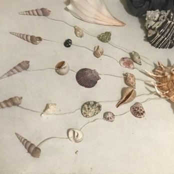 Eagles Beachwear - wind chime made of shells - Women's Clothing Near Me - Myrtle Beach, South Carolina Eagles Beachwear - wind chime made of shells - Women's Clothing Near Me - Myrtle Beach, South Carolina
