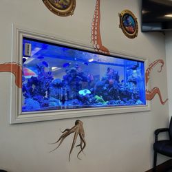 Lockport Medical Center - Aquarium