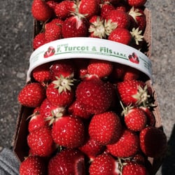 Ferme F Turcot et Fils - The fruits of our labour today$8 for 3L. A great price!