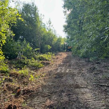Past The Pine - Excavation Services Near Me