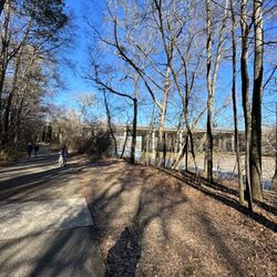 Bob Callan Trail - Trail