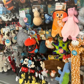 Dog Supplies Outlet - So many options! - Pet Stores Near Me - Henderson, Nevada Dog Supplies Outlet - So many options! - Pet Stores Near Me - Henderson, Nevada