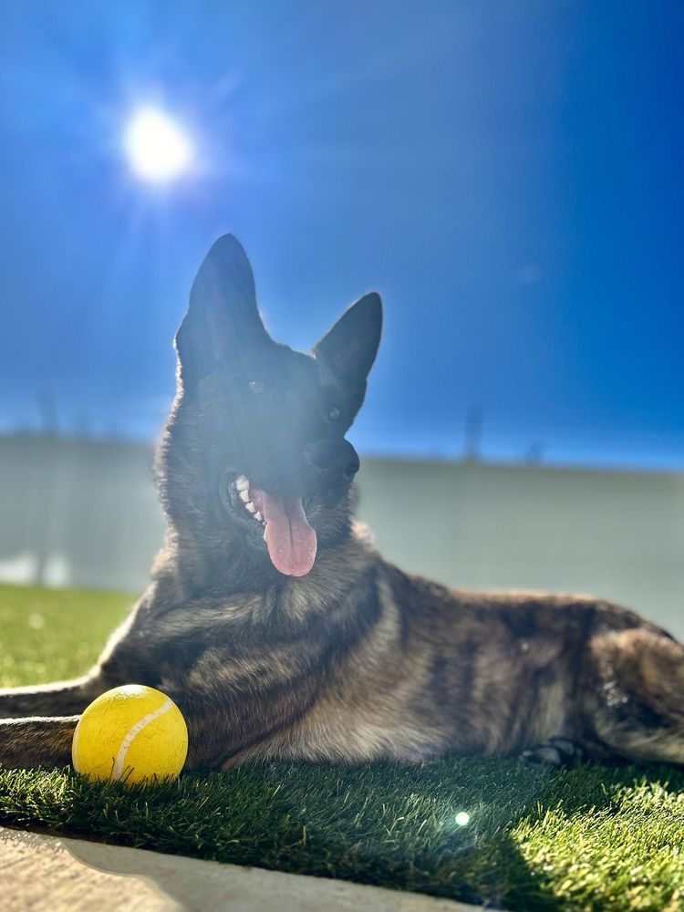 OUR DOG HOUSE IN ARGYLE Updated June 2024 13 Photos 1954 Business