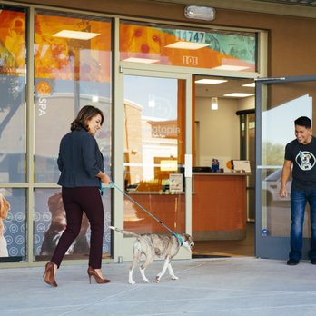 Dogtopia of Lionhead - Check out our new facility! - Pet Boarding Near Me - Brampton, Ontario Dogtopia of Lionhead - Check out our new facility! - Pet Boarding Near Me - Brampton, Ontario