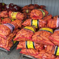 The Market - Ludington - Dear bait corn