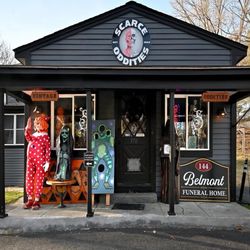 Scarce Oddities - Storefront, photo credit Allan Jung/Worcester Magazine