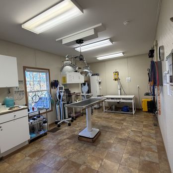 Union Veterinary Associates - Veterinarians Near Me - Union, Missouri Union Veterinary Associates - Veterinarians Near Me - Union, Missouri