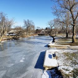 Ellis Park - View of Frozen River Raisin in Ellis Park