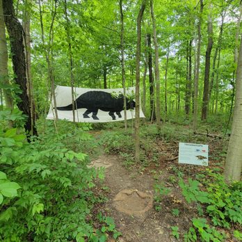 Emily Traphagen Preserve - Dino activity - Parks Near Me - Powell, Ohio Emily Traphagen Preserve - Dino activity - Parks Near Me - Powell, Ohio