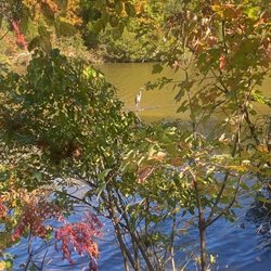 Colonel Francis Beatty Park - Heron - Francis Beatty Park October 22, 2023